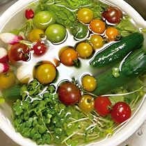 カルセラミクスを溶かした水に、ミニトマト・きゅうり・葉物野菜をまとめて浸けているところ